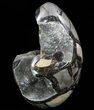 Polished Septarian Geode Sculpture - Black Crystals #73135-2